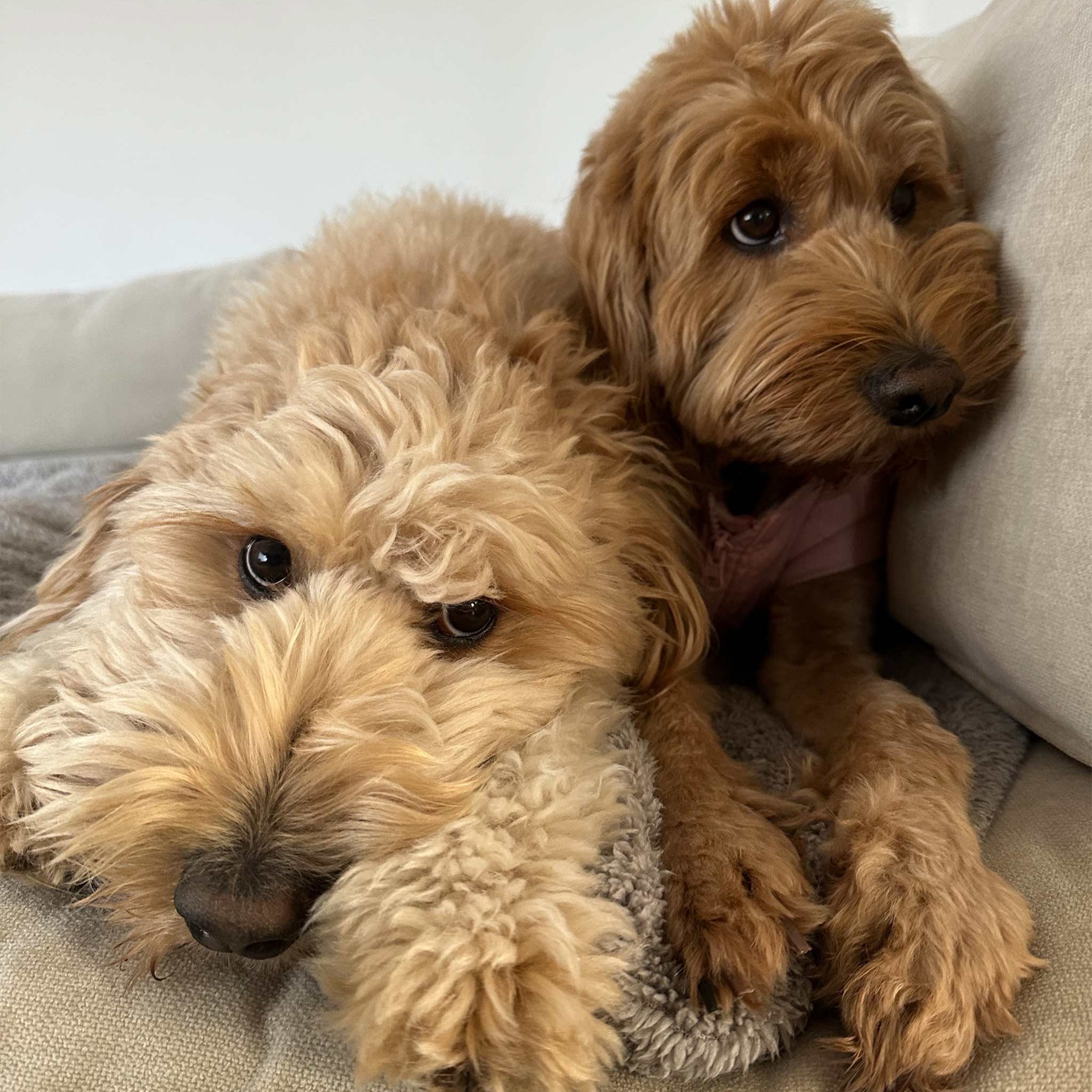 Test Product – Aim for Roughly 4–8 words Only Siemens - BNR Industrial Automation