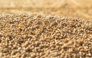 MBA369 Perpendicular Level Measurement Level Sensor MBA - BNR Industrial Automation