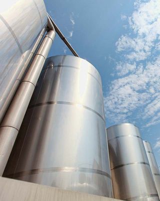 MBA700 Vibrating Paddle Level Switch Level Sensor MBA - BNR Industrial Automation