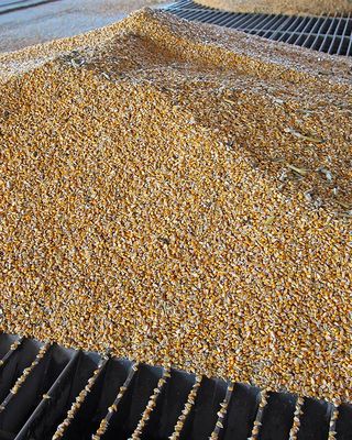 MBA888 Maintenance-Free Level Measurment with Stepper Motor ATEX Level Sensor MBA - BNR Industrial Automation