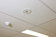 PIERLITE LED Firefly Emergency Light Lighting PIERLITE - BNR Industrial Automation