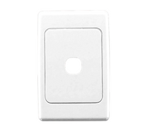 CLIPSAL 2031VH Flush Surround and Grid Plate, 1 Gang, Vertical/Horizontal Mount Mechanisms Clipsal - BNR Industrial Automation